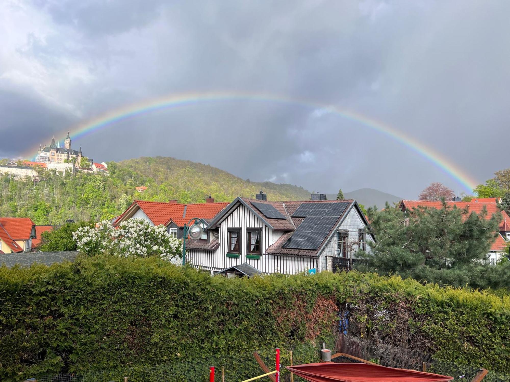 Ferienwohnung Kniep Wernigerode Bagian luar foto
